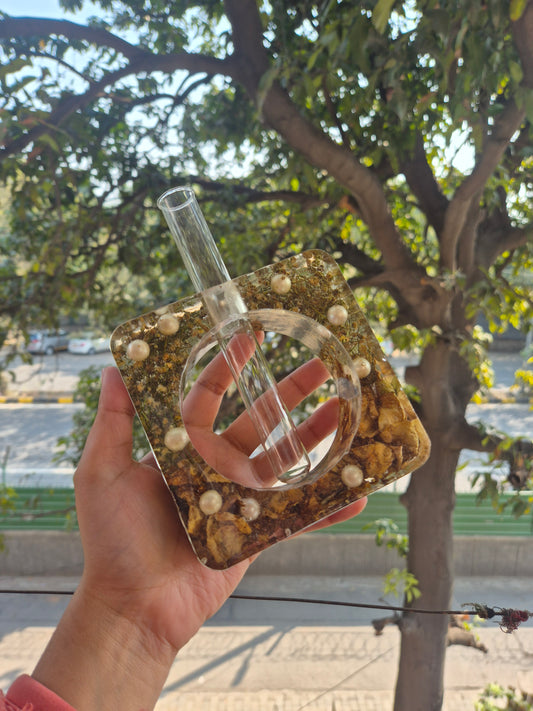 Propagation Vase