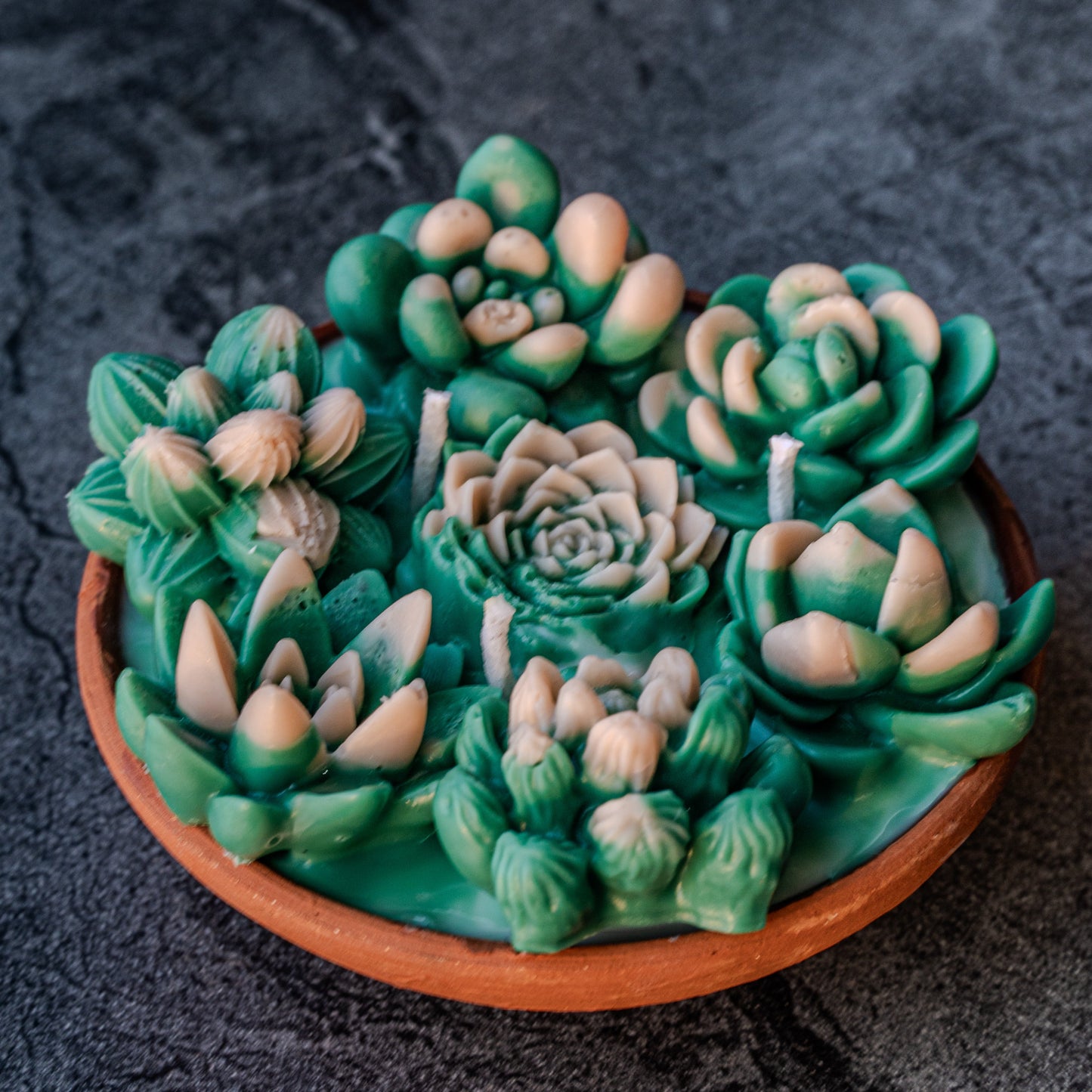 Succulent Garden Candle