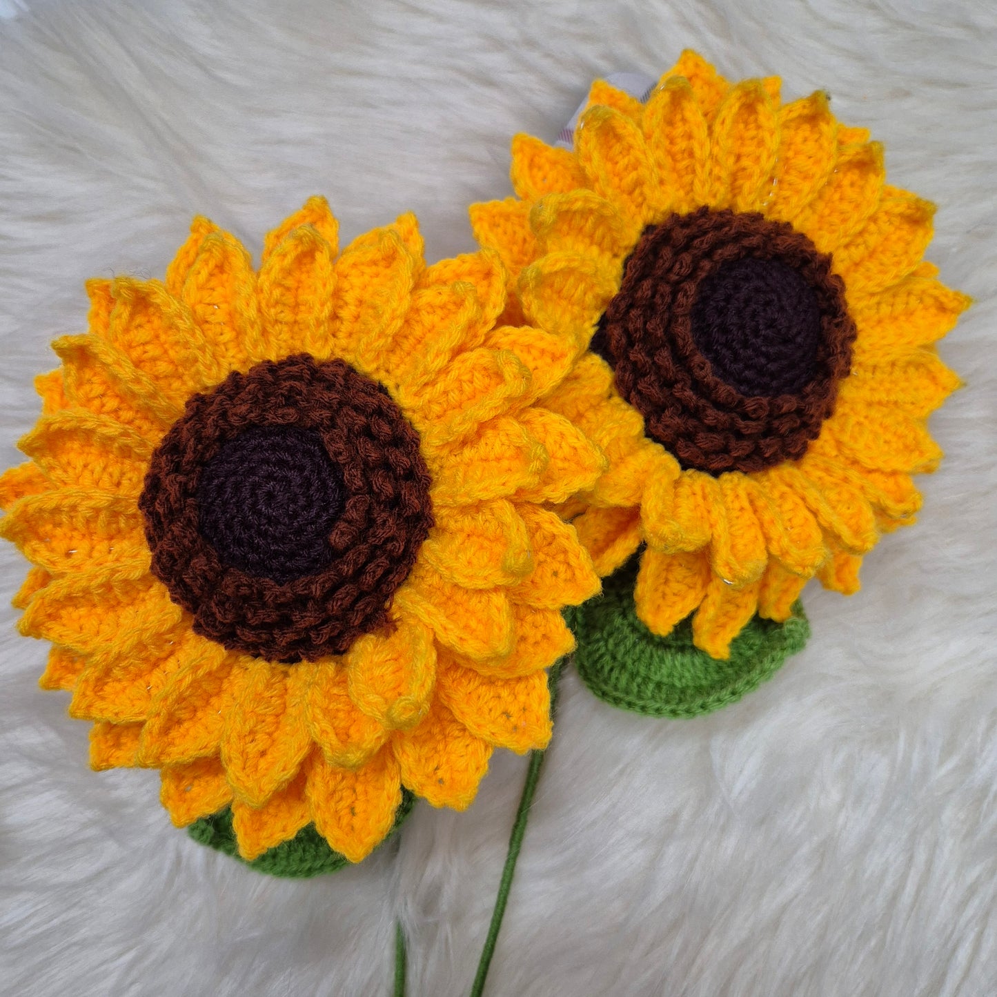 XXL Sunflowers