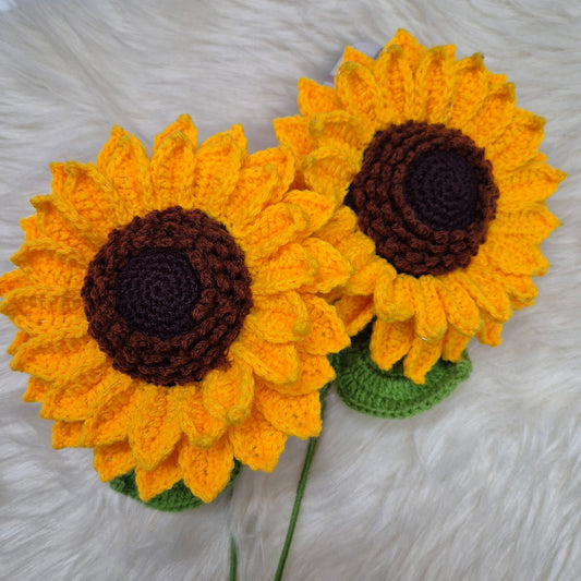 XXL Sunflowers