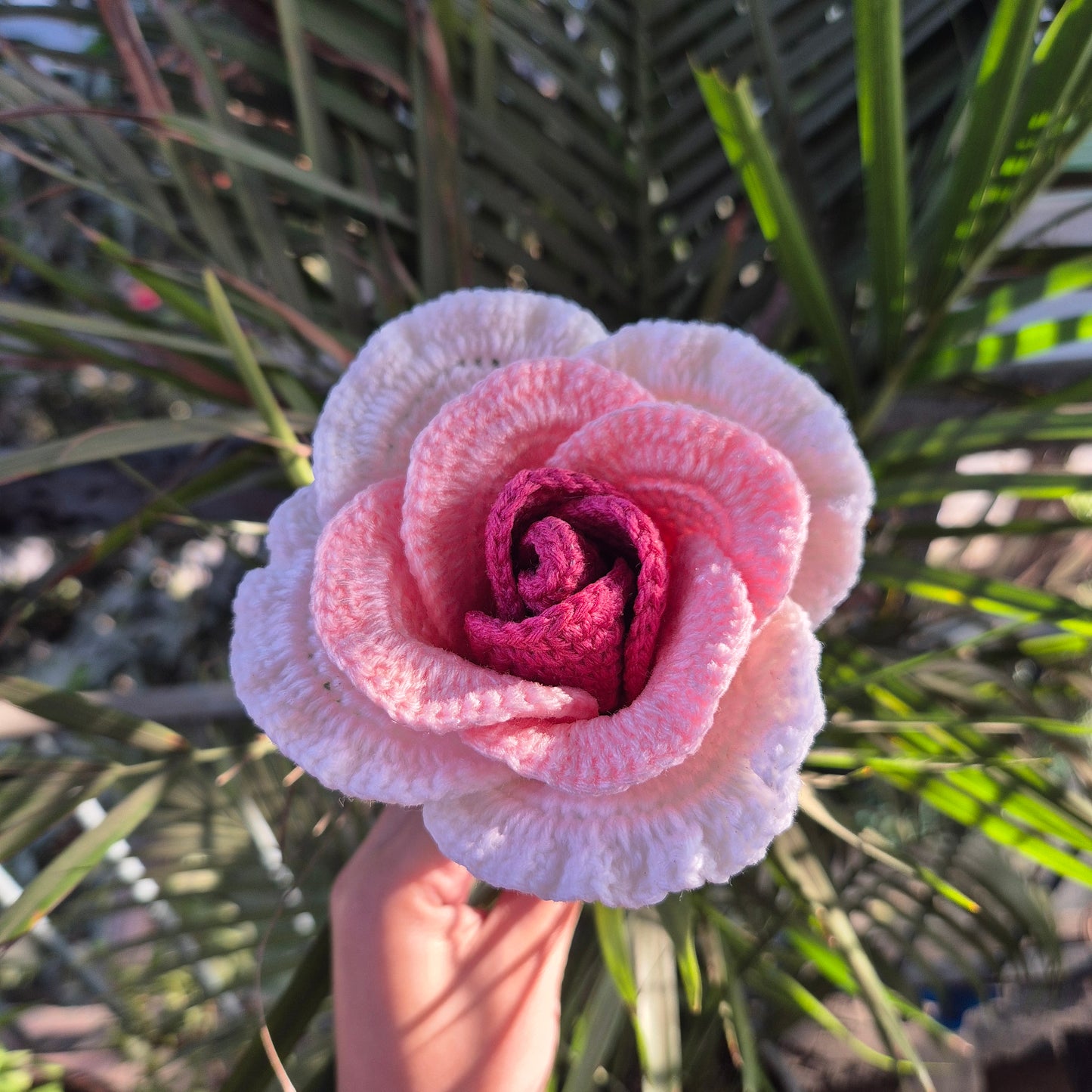 XXL Chinese Rose