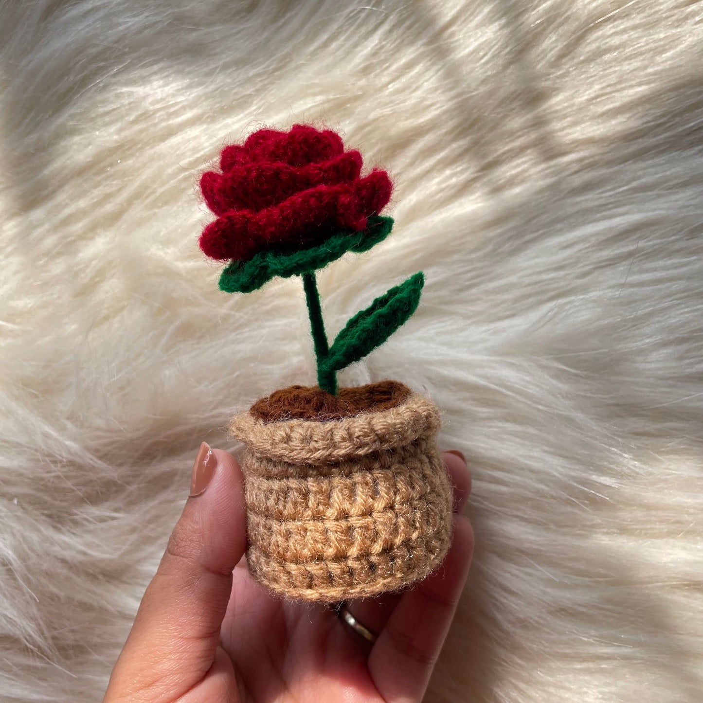 Single Flower Desk Buddy