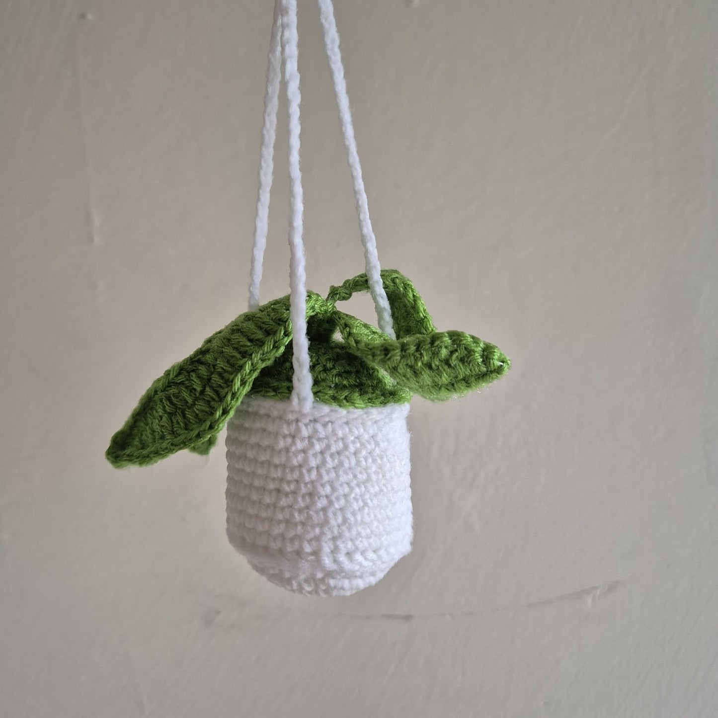 Succulent Hanging