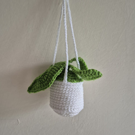 Succulent Hanging