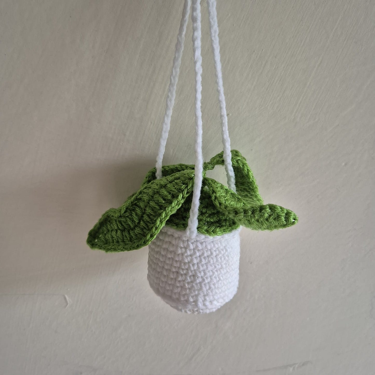 Succulent Hanging